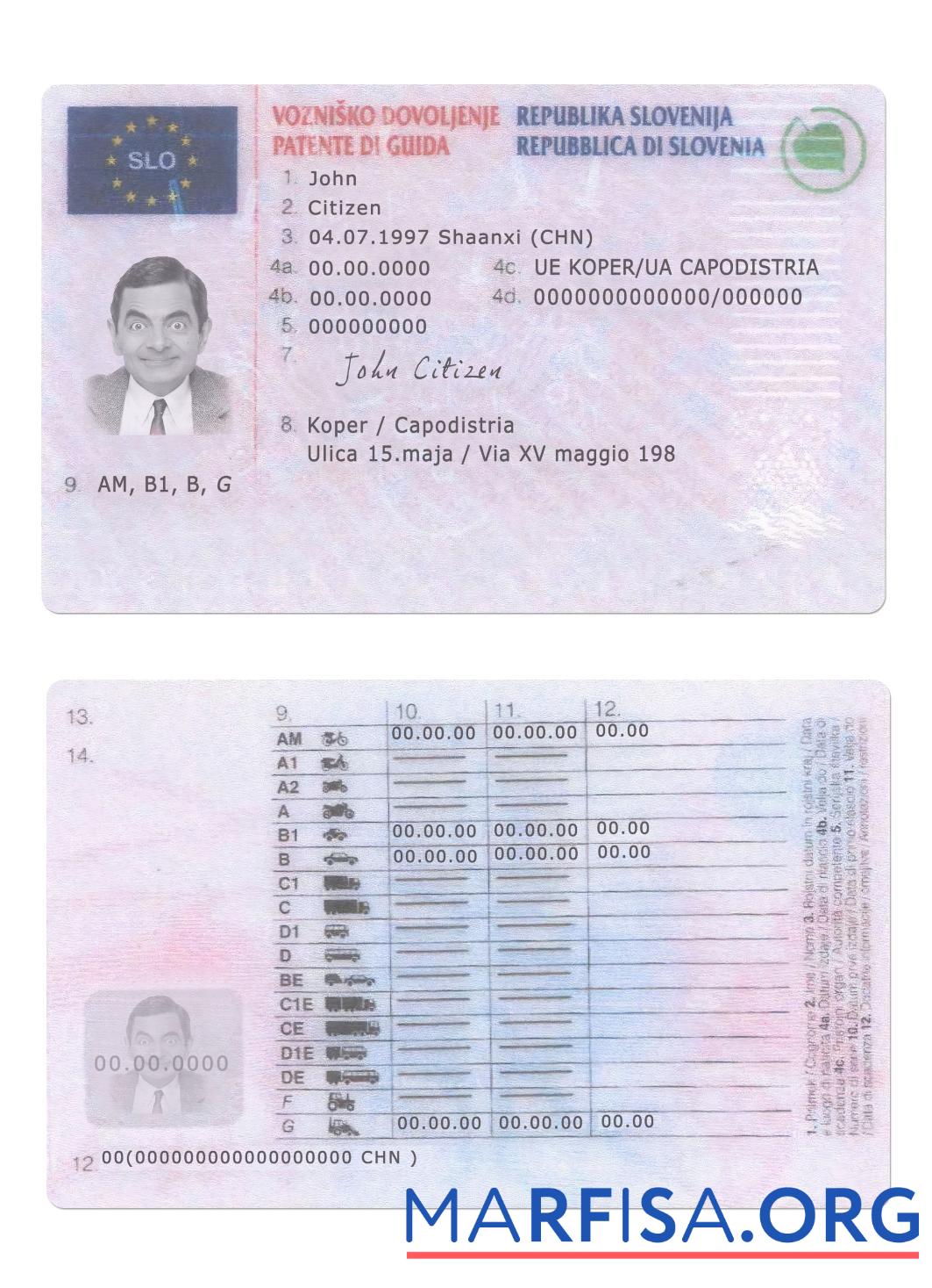 Downloadable Slovenia driving license real example